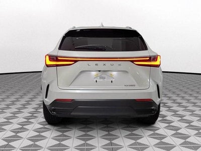 2025 Lexus NX Premium