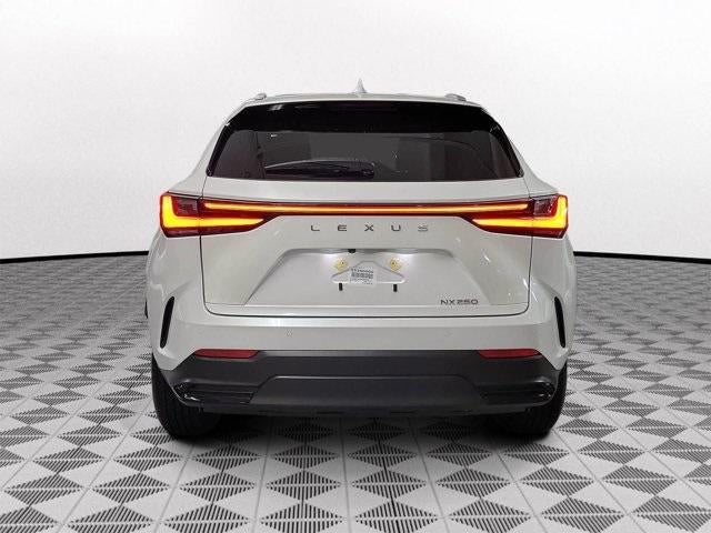 2025 Lexus NX Premium