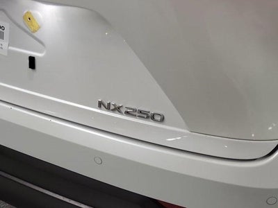 2025 Lexus NX Premium