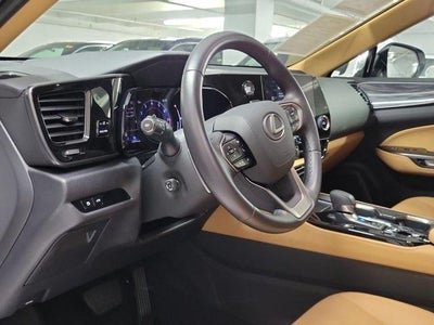 2025 Lexus NX Premium