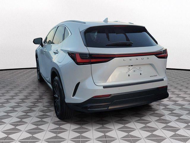 2024 Lexus NX Premium