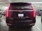2023 Cadillac Escalade RWD Luxury